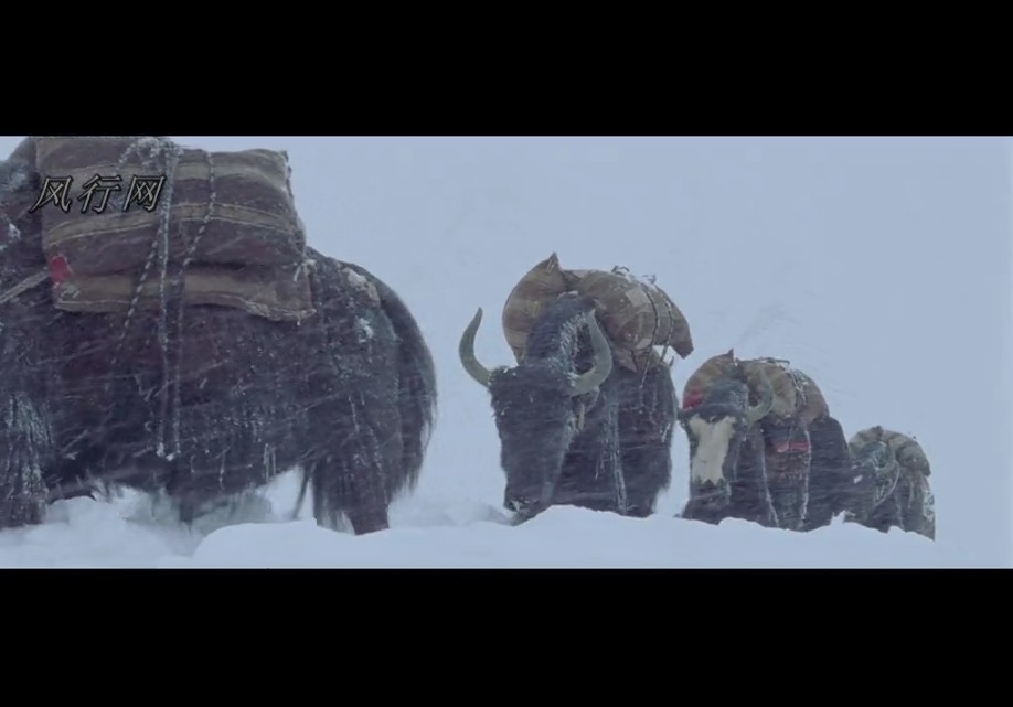 喜马拉雅剧照的剧照