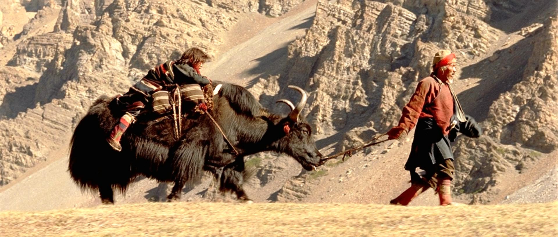 喜马拉雅剧照的剧照