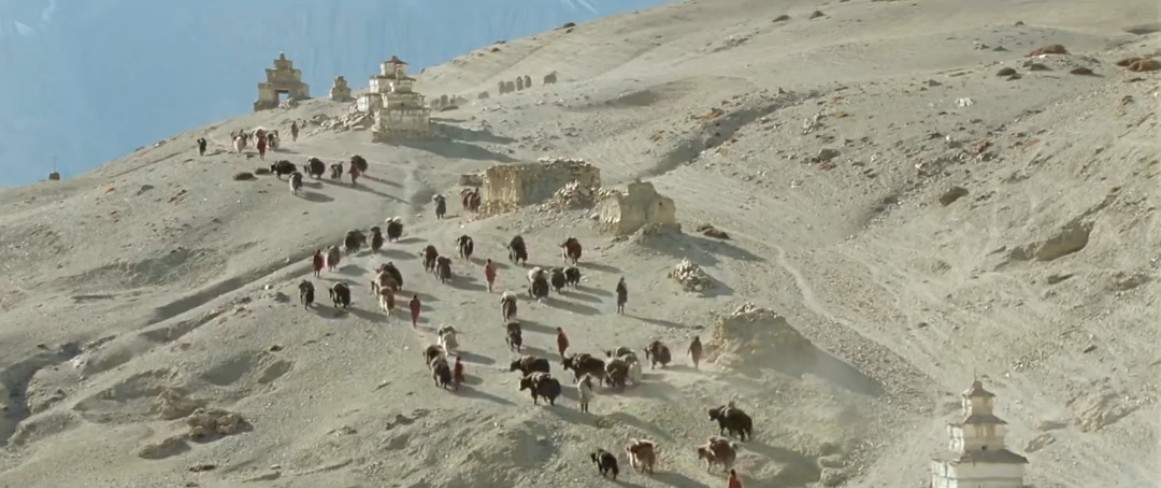 喜马拉雅剧照的剧照