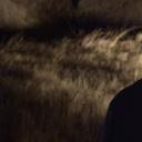 小亚细亚往事剧照