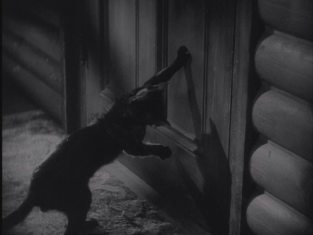 春闺风月剧照的剧照