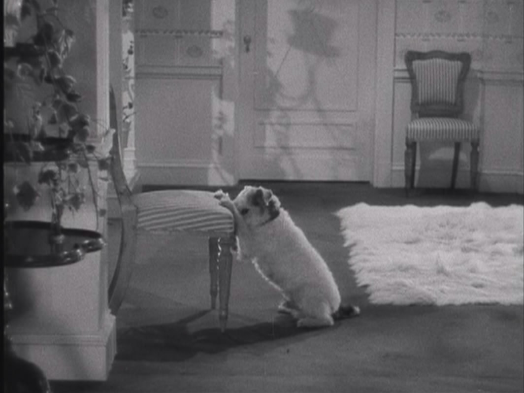 春闺风月剧照的剧照