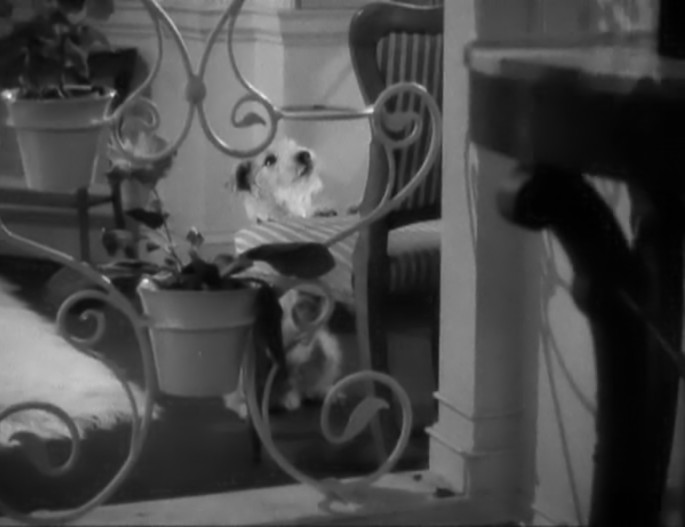 春闺风月剧照的剧照