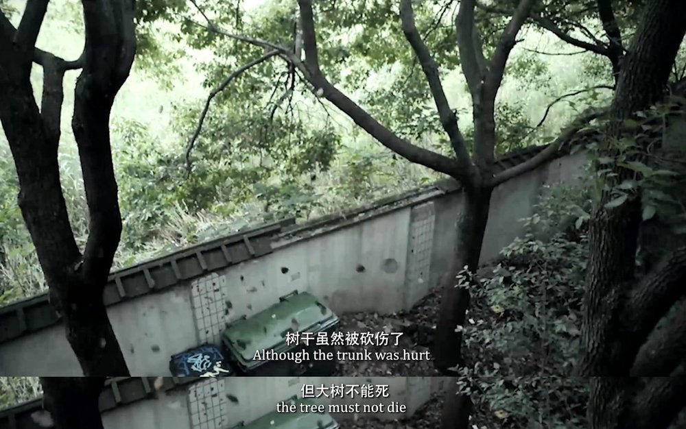 上海的女儿剧照的剧照