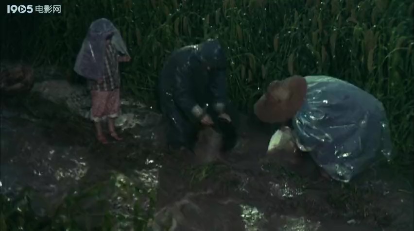 金不换剧照的剧照