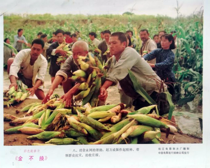 金不换剧照的剧照