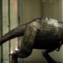 三叠纪世界剧照