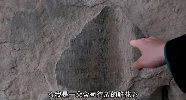 永远剧照的剧照