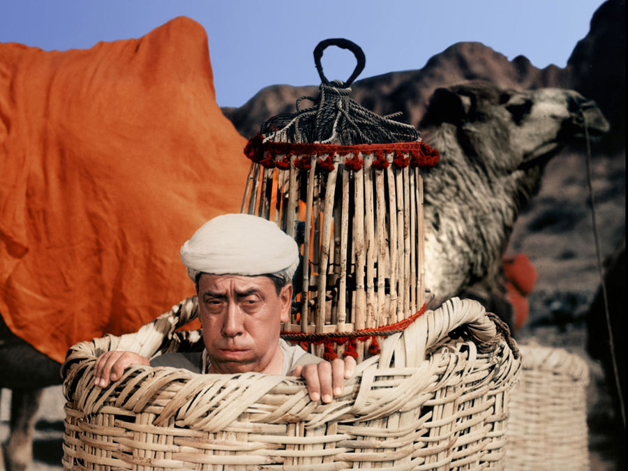 阿里巴巴和四十大盗剧照的剧照