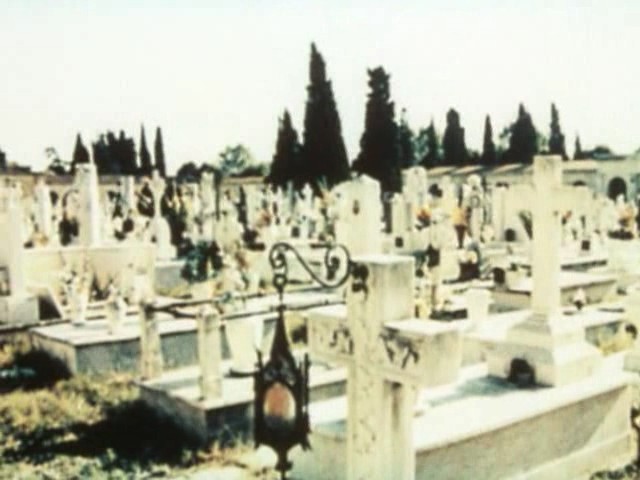 牛虻剧照的剧照