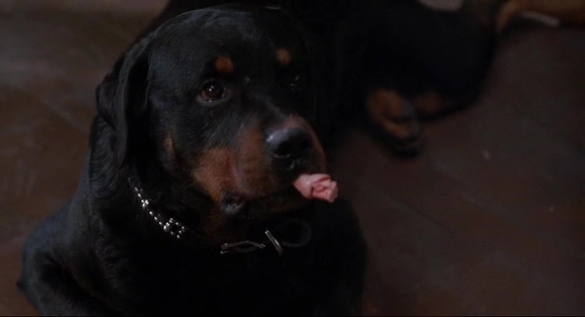 阶梯下的恶魔剧照的剧照