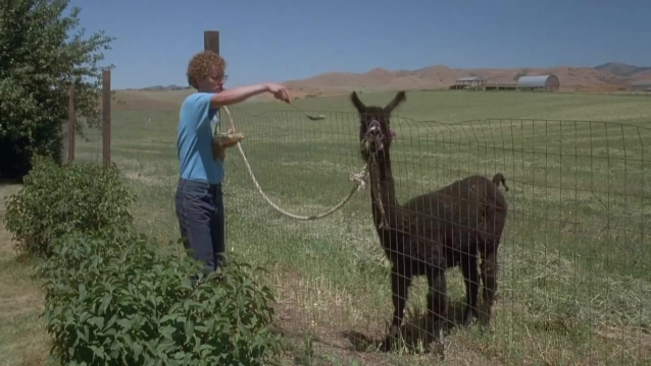 大人物拿破仑剧照的剧照