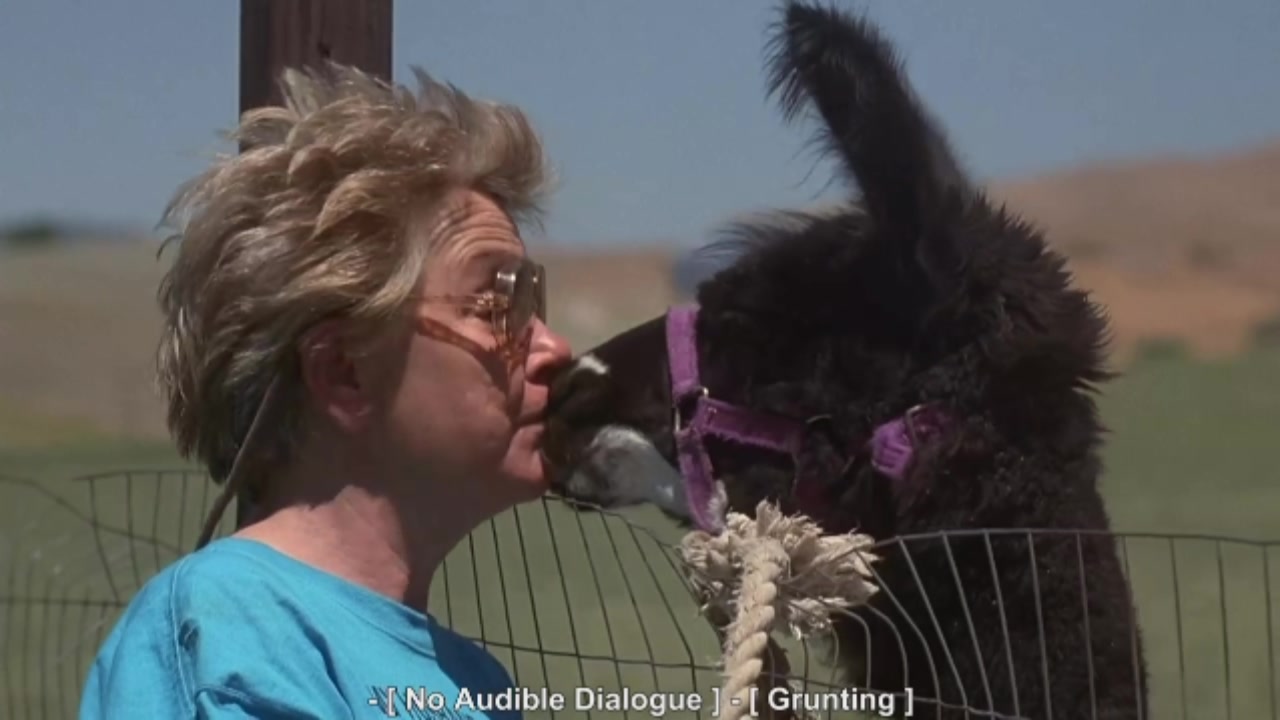 大人物拿破仑剧照的剧照