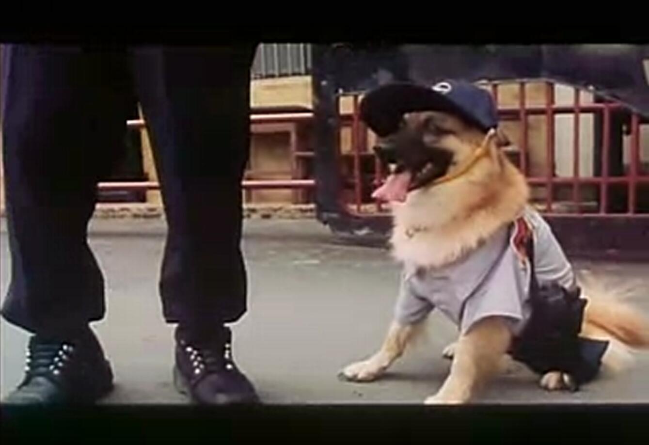 爆裂神探剧照的剧照