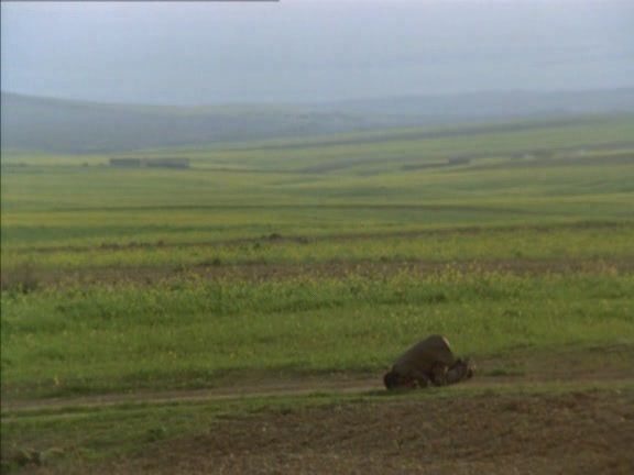 自由之路剧照的剧照