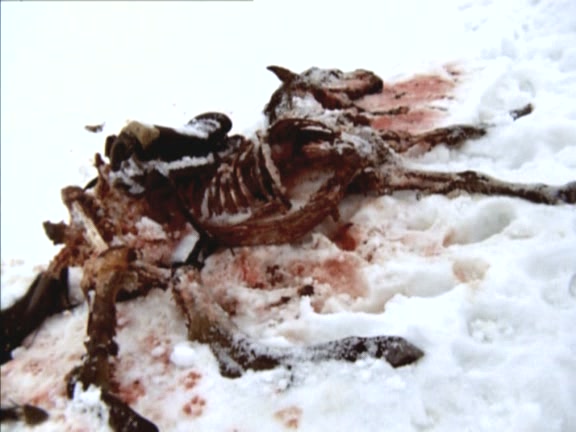 自由之路剧照的剧照