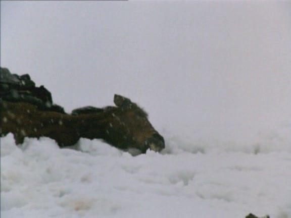 自由之路剧照的剧照