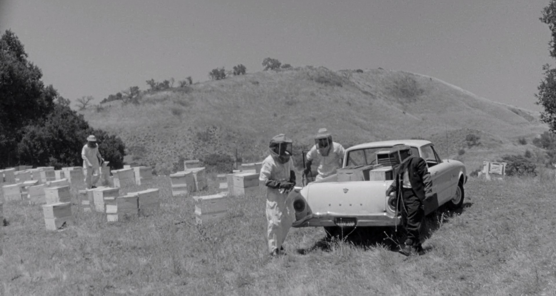 黄蜂女剧照的剧照