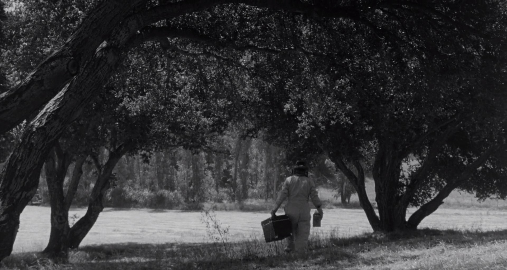 黄蜂女剧照的剧照