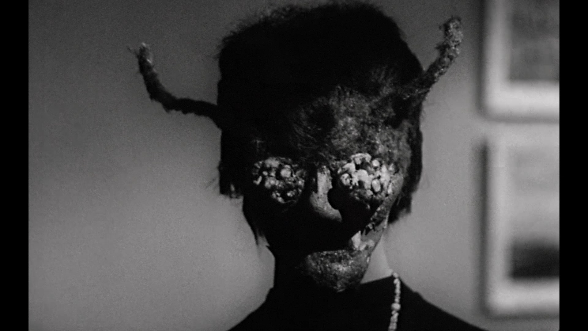 黄蜂女剧照的剧照