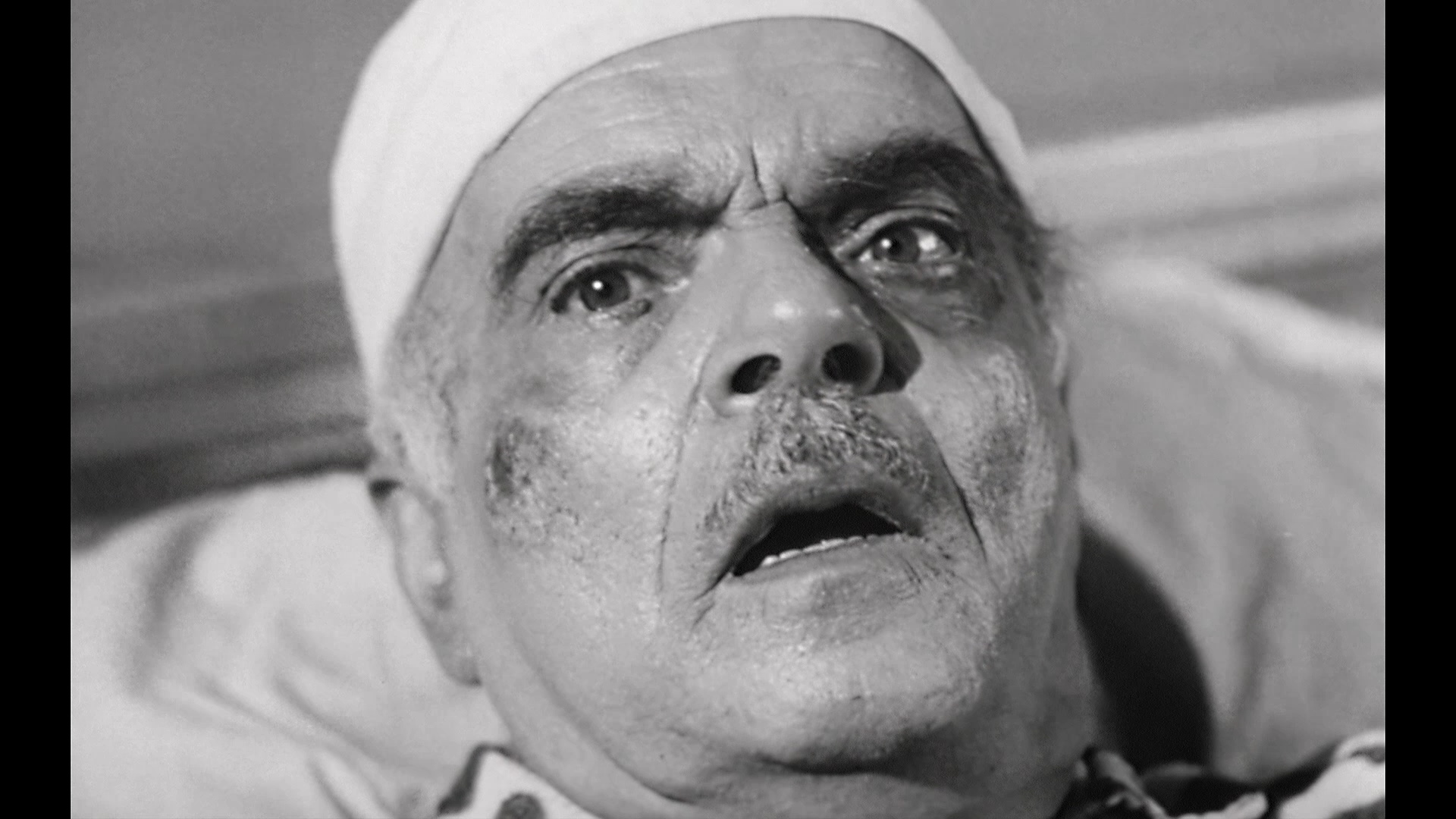 黄蜂女剧照的剧照