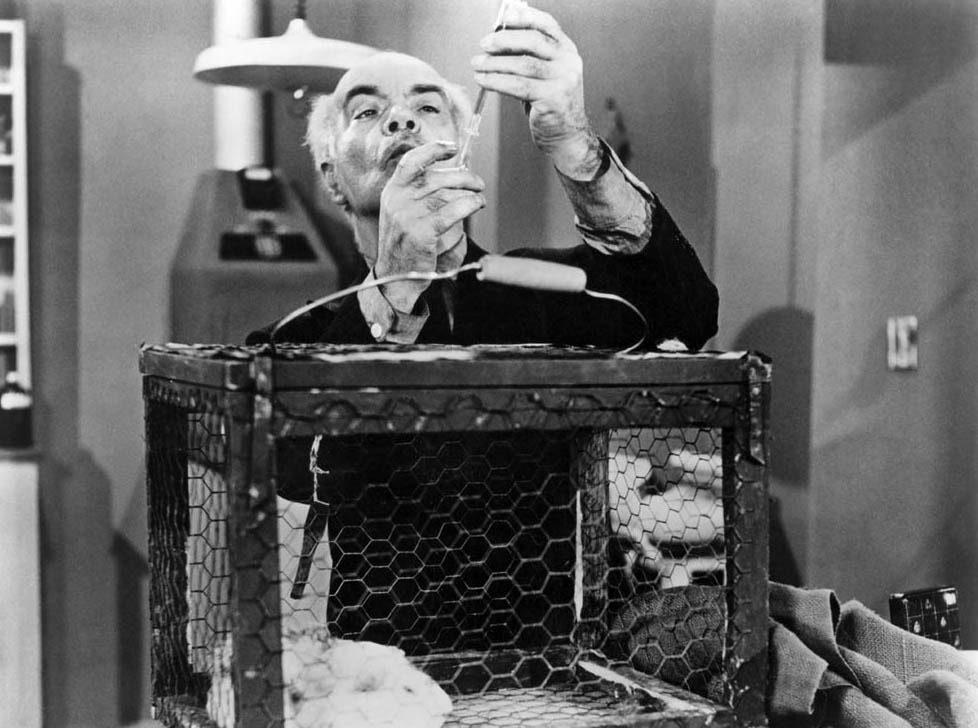 黄蜂女剧照的剧照