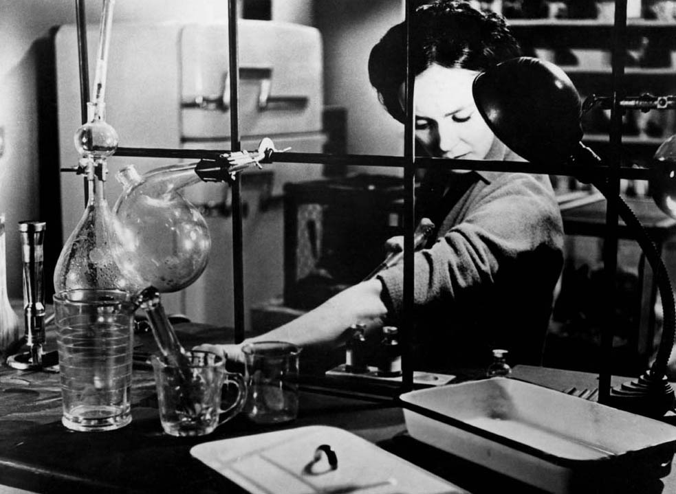 黄蜂女剧照的剧照