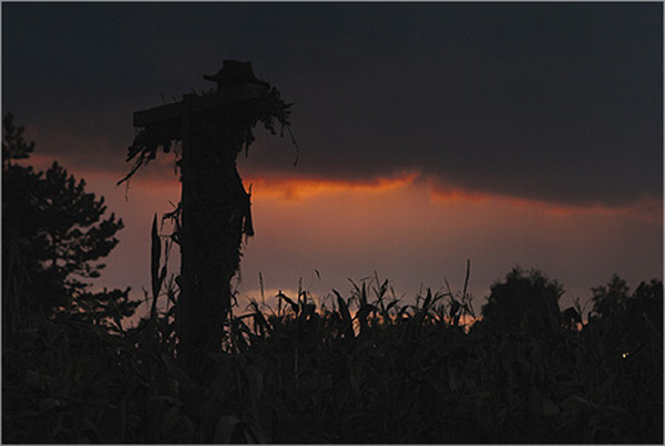鬼使神差2剧照的剧照