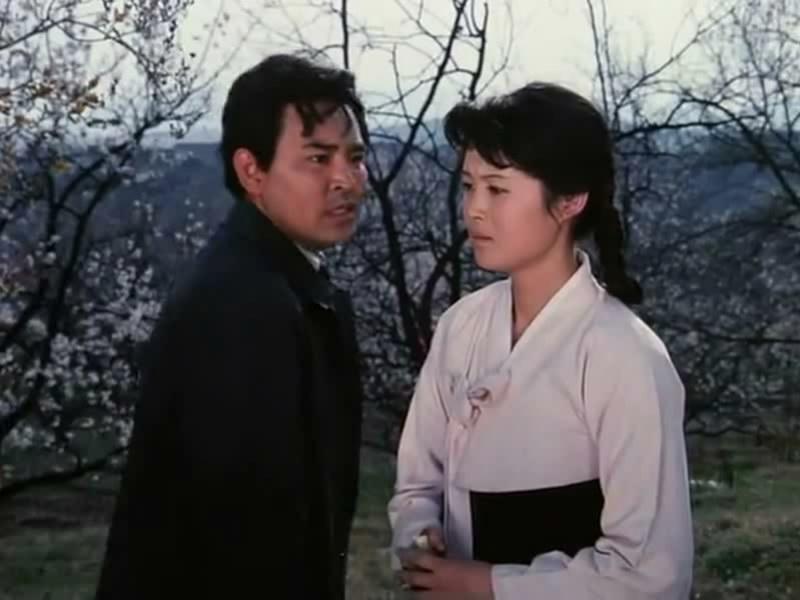 桔梗花剧照的剧照