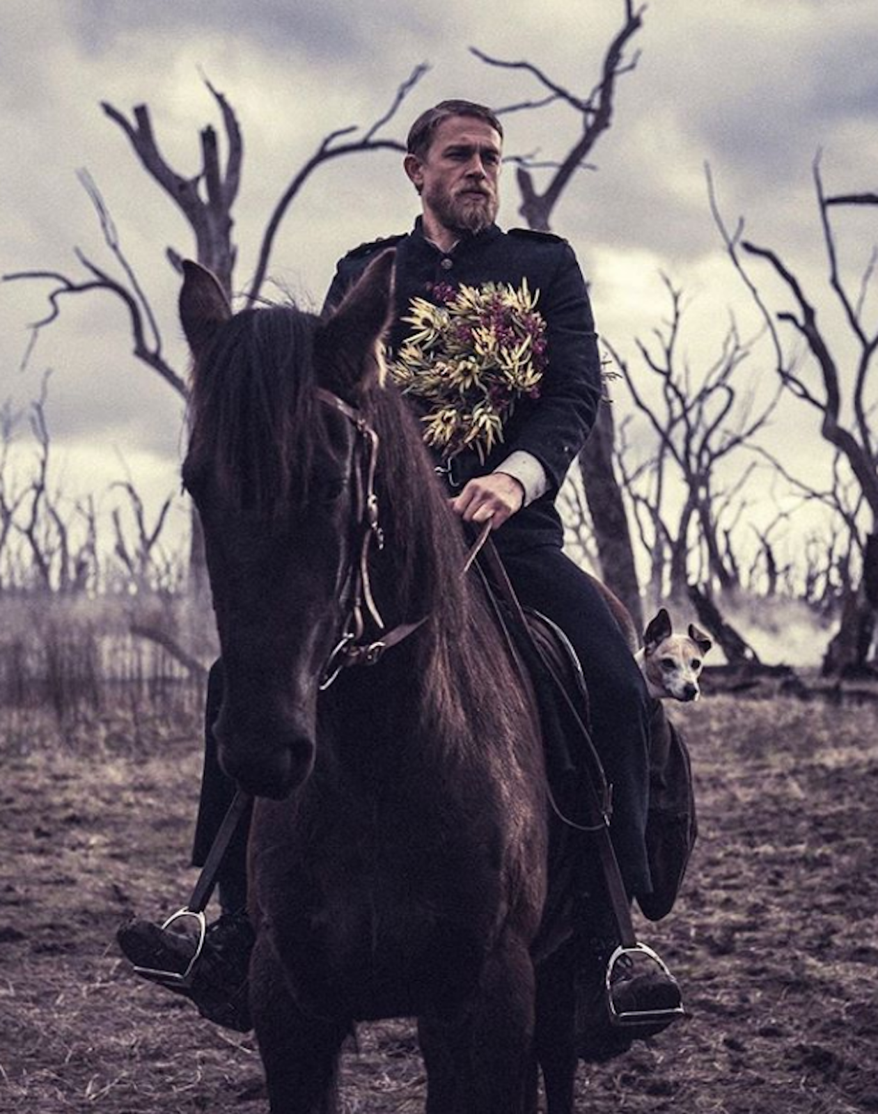 凯利帮的真实历史剧照的剧照