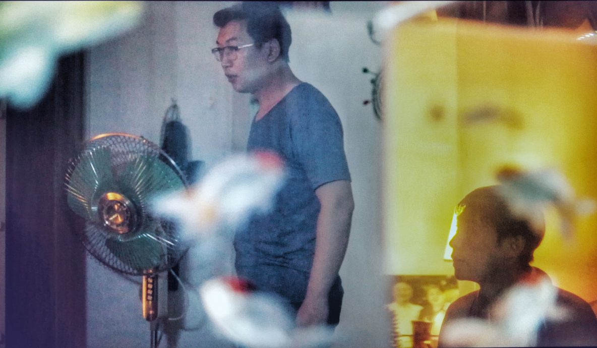 鱼乐园剧照的剧照