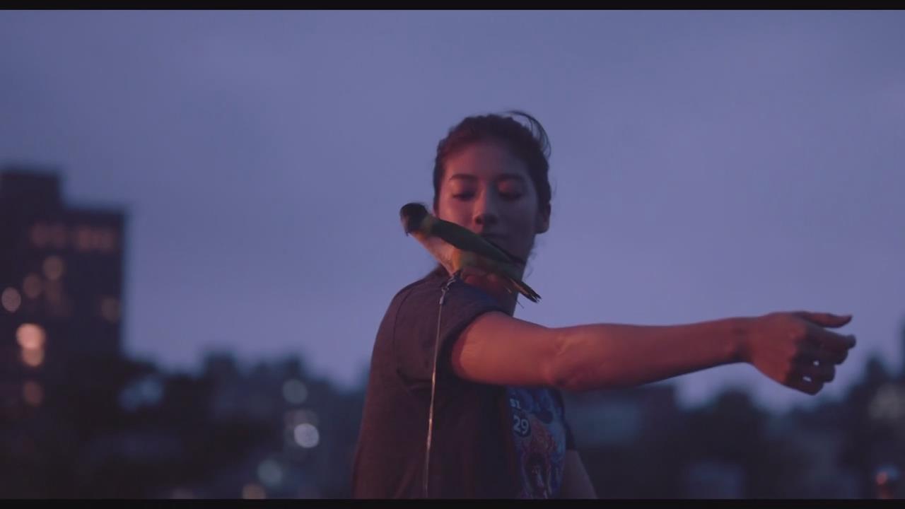 强尼凯克剧照的剧照