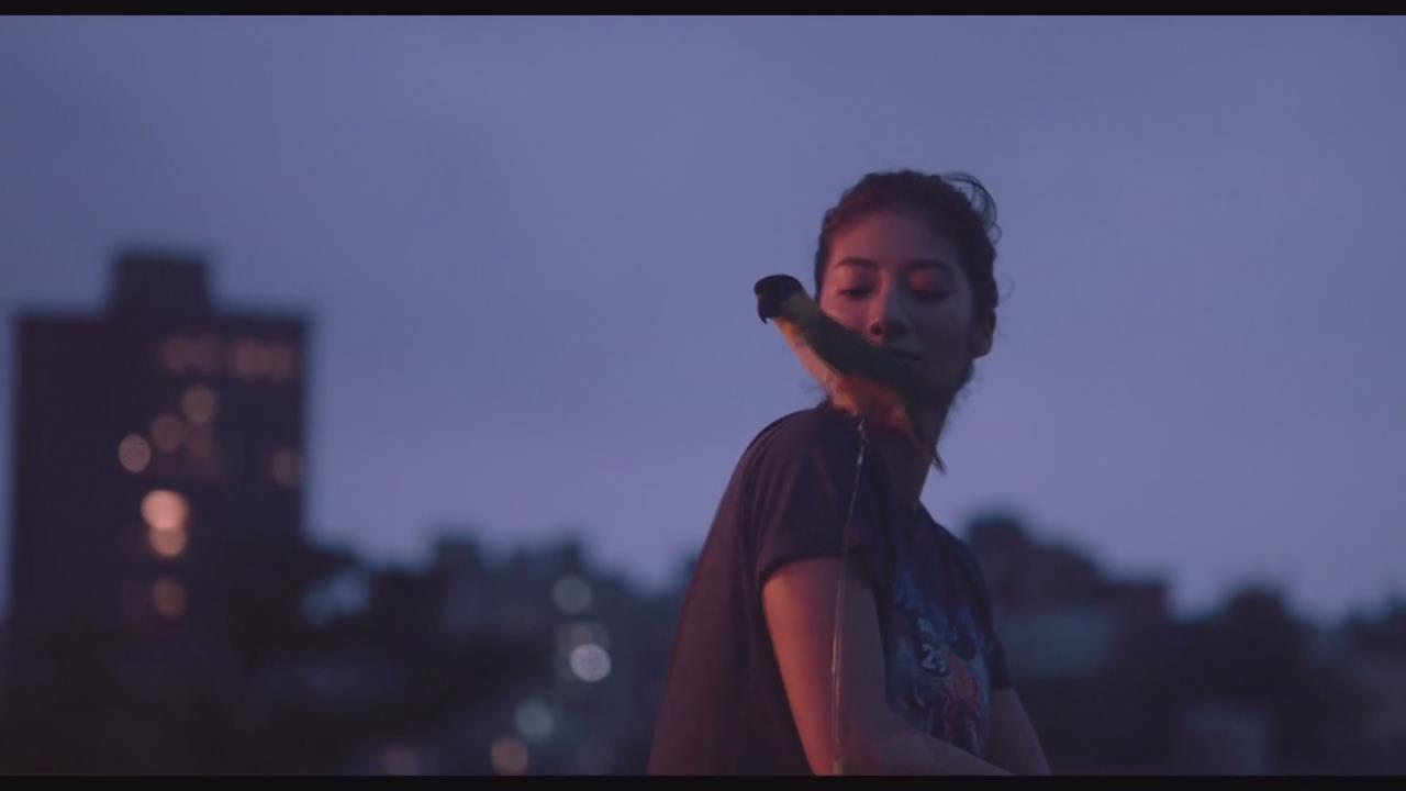 强尼凯克剧照的剧照