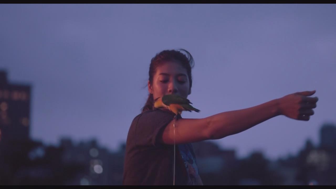 强尼凯克剧照的剧照