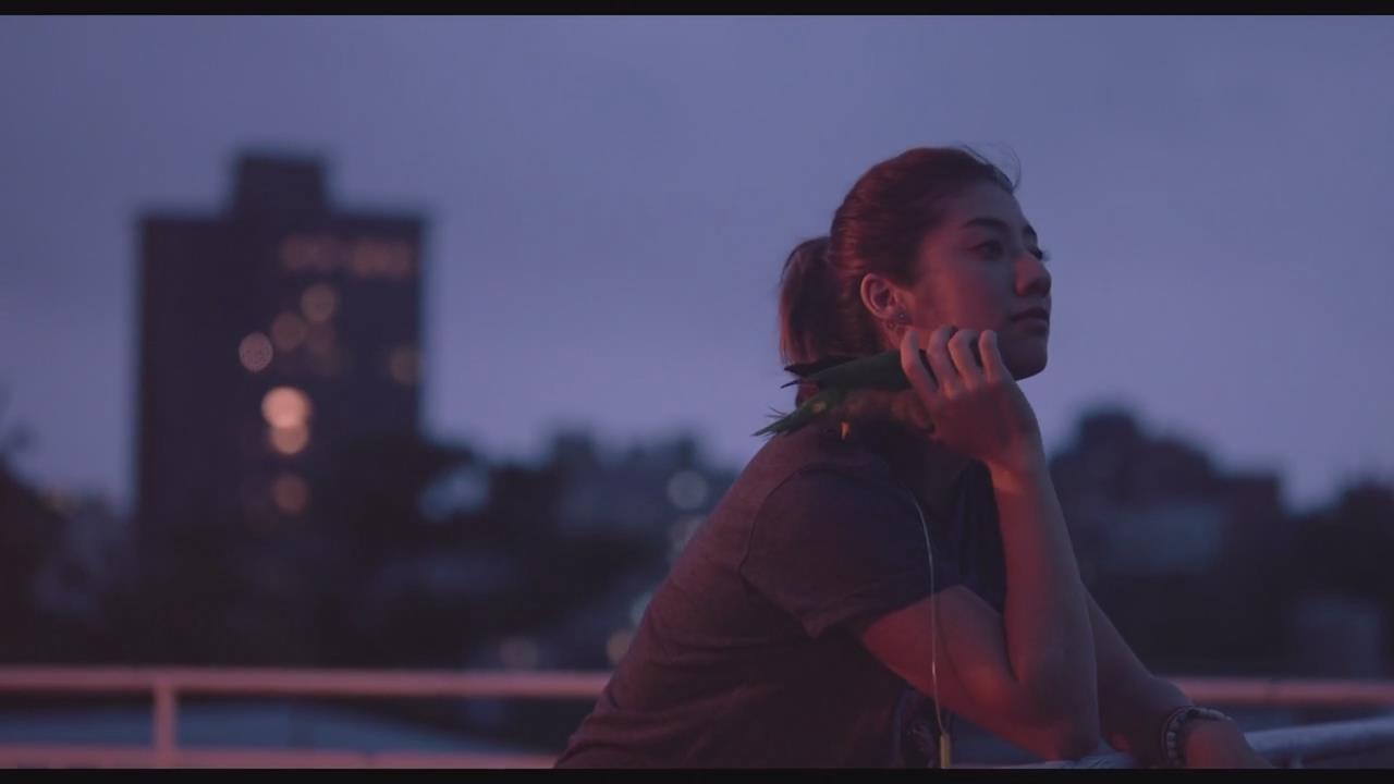 强尼凯克剧照的剧照