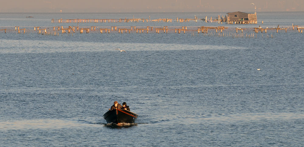 我是丽剧照的剧照