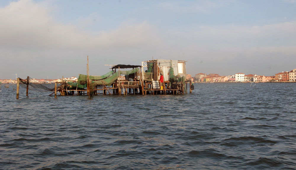 我是丽剧照的剧照