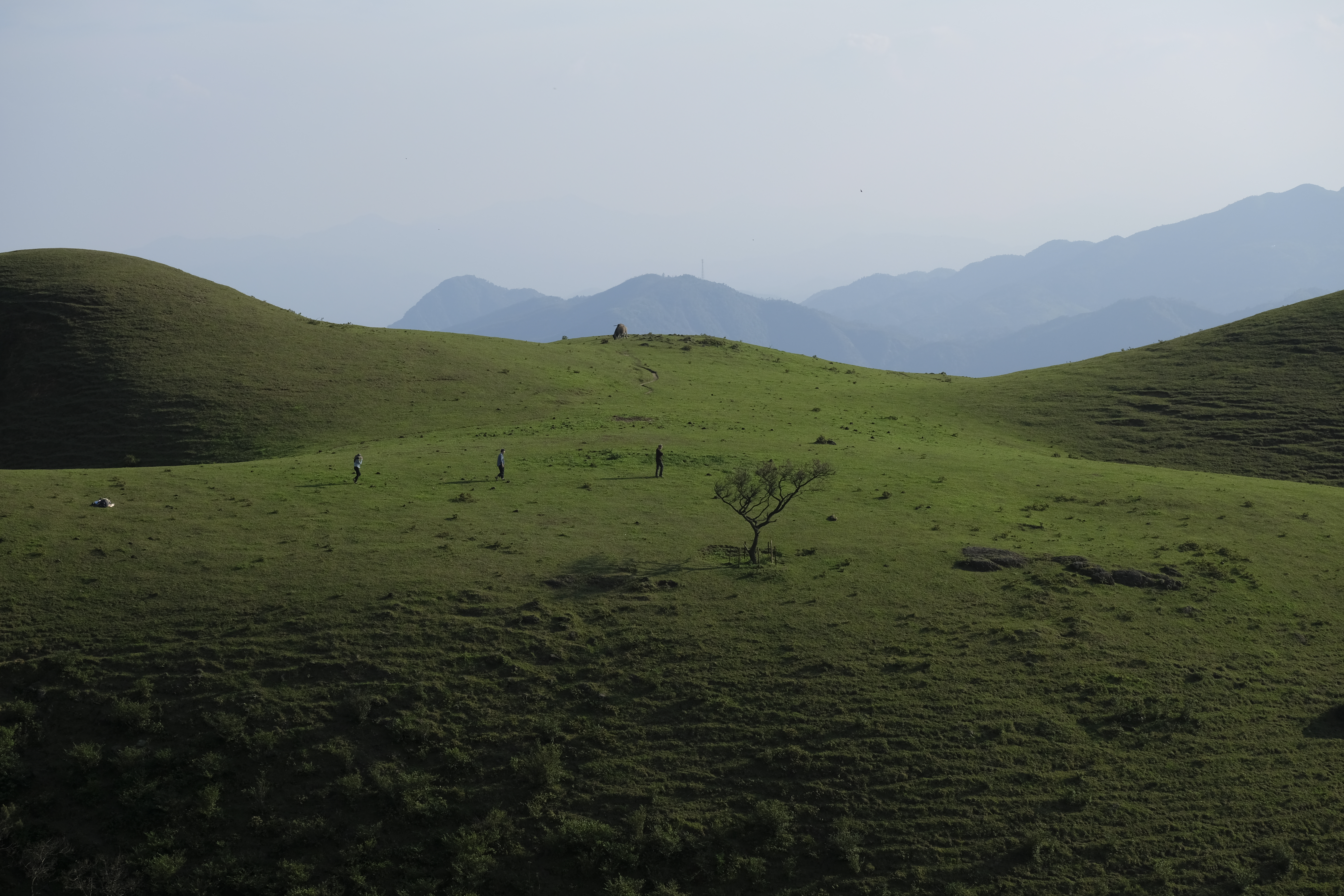 好友剧照的剧照