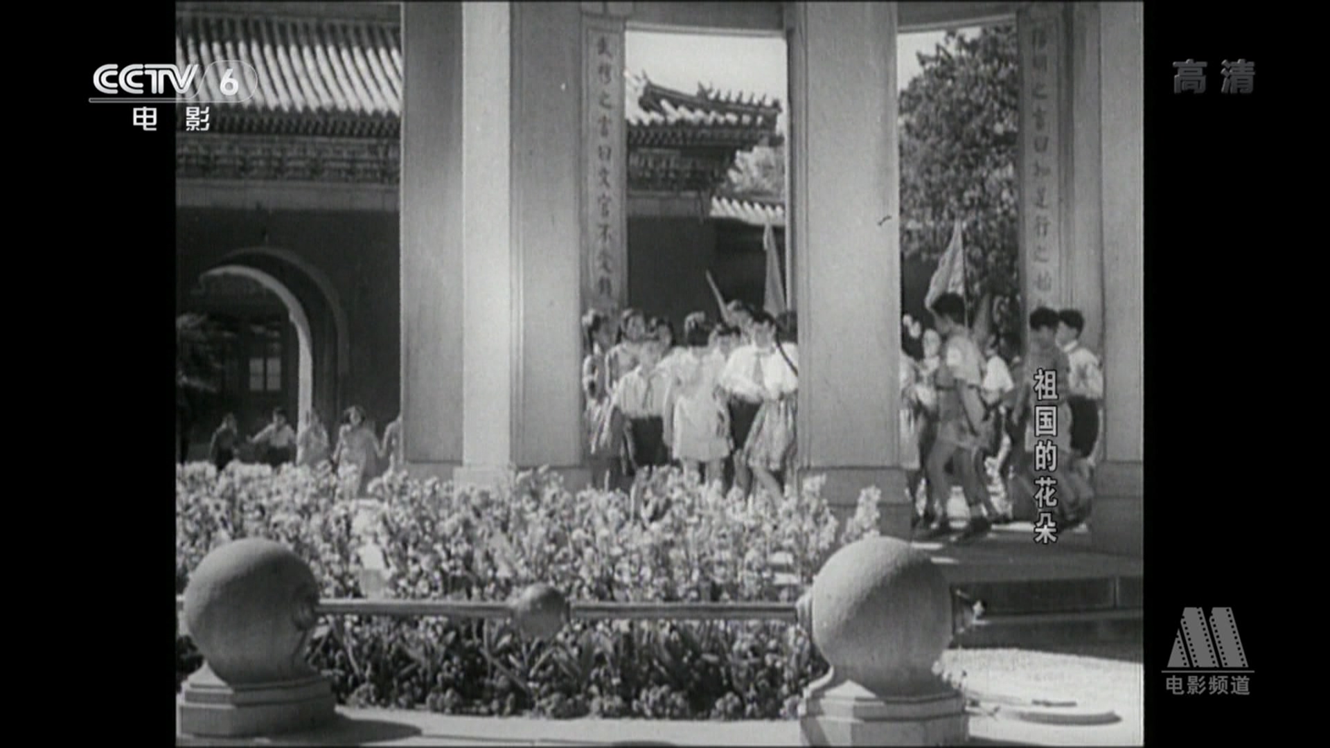 祖国的花朵剧照的剧照