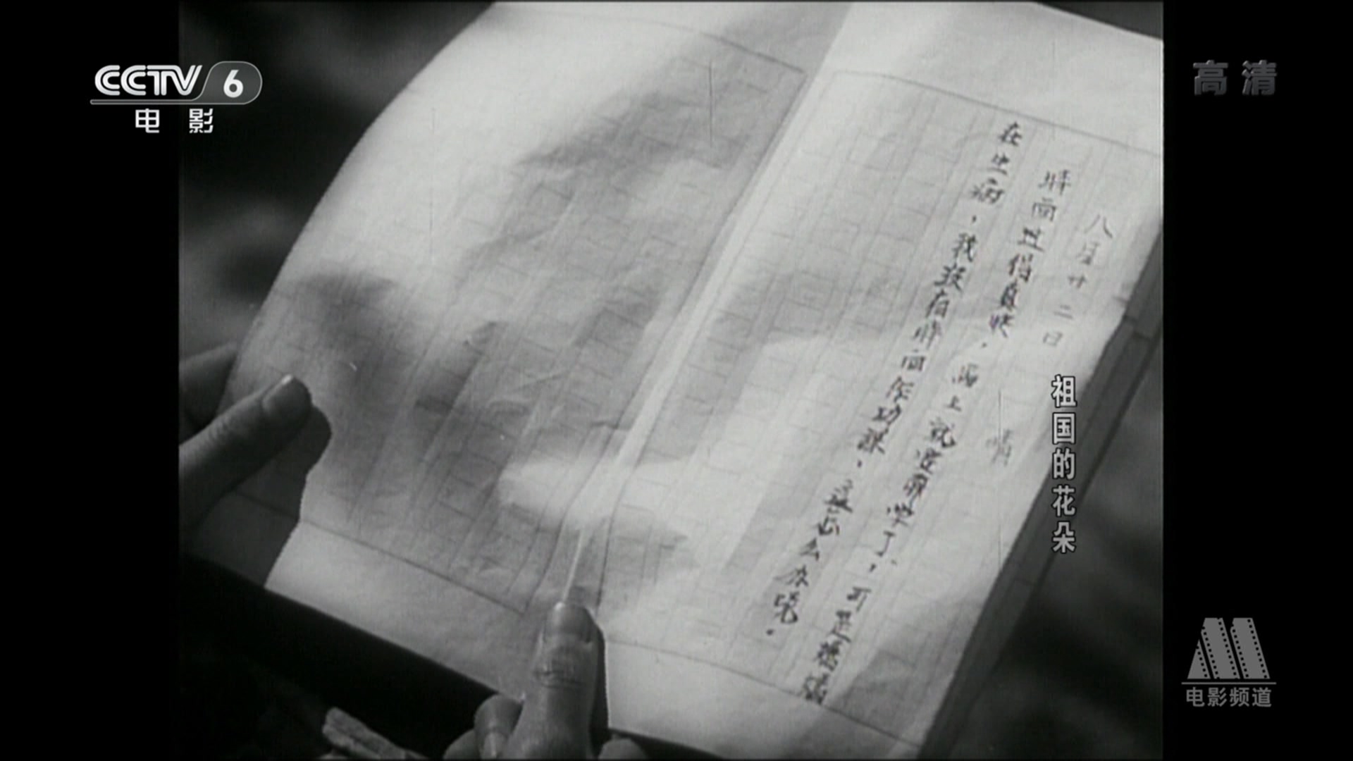 祖国的花朵剧照的剧照