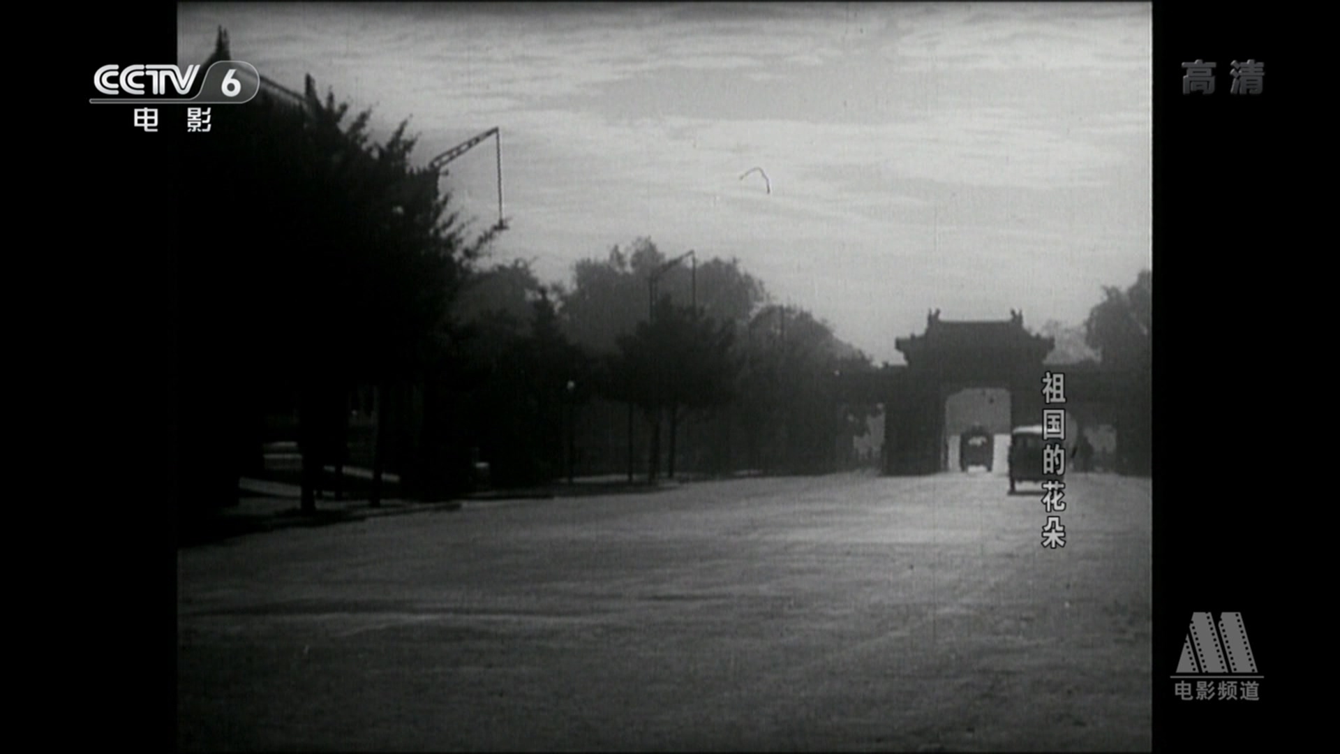 祖国的花朵剧照的剧照