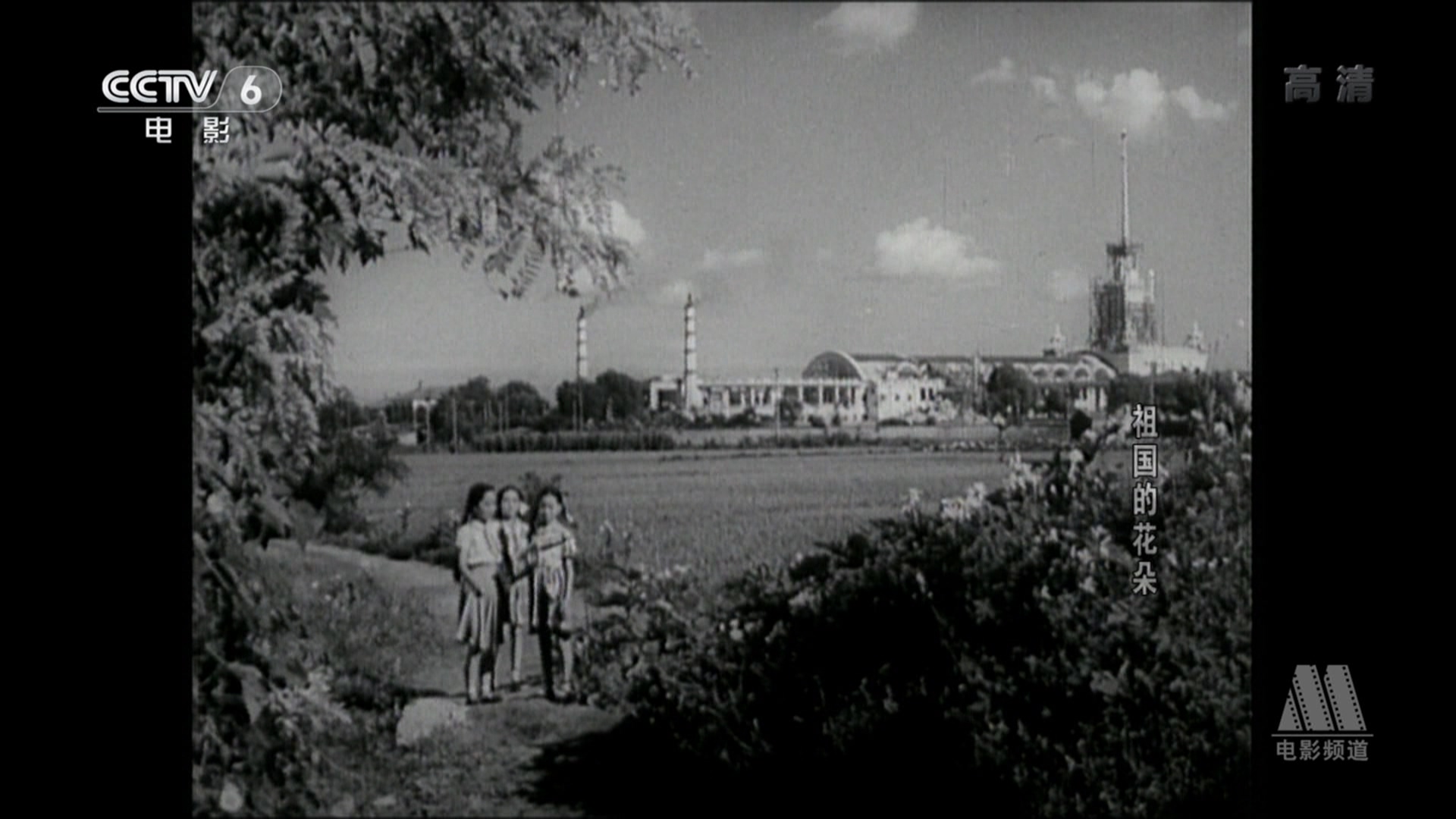 祖国的花朵剧照的剧照