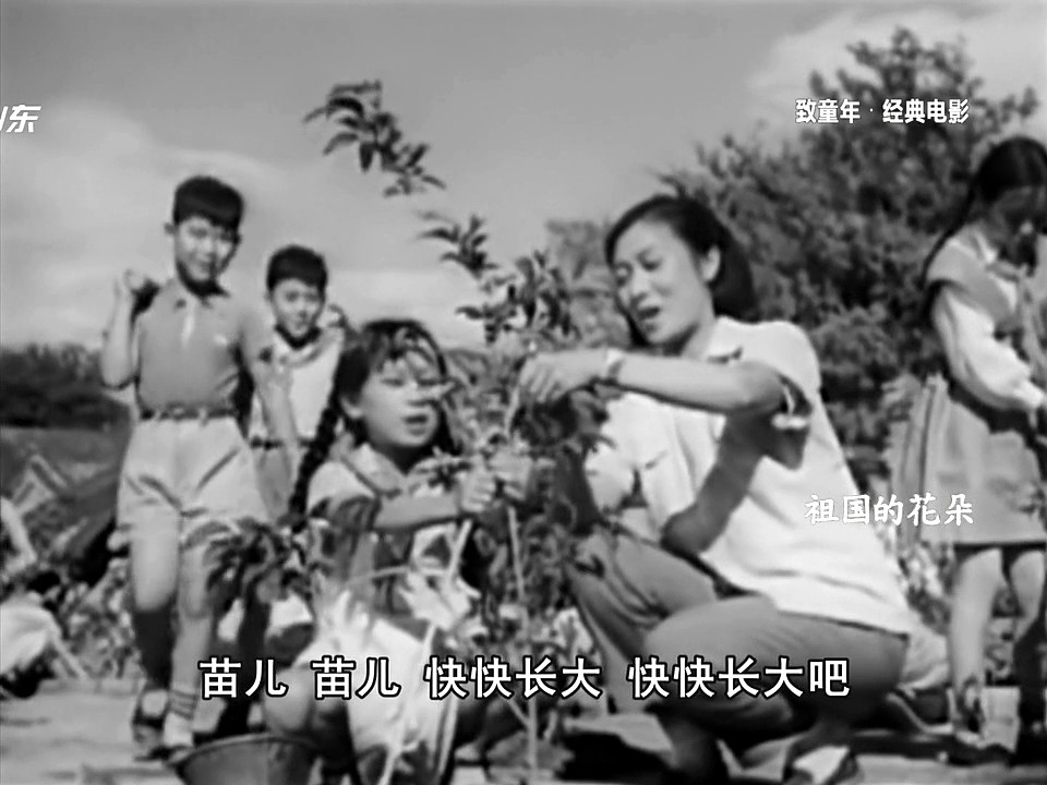 祖国的花朵剧照的剧照