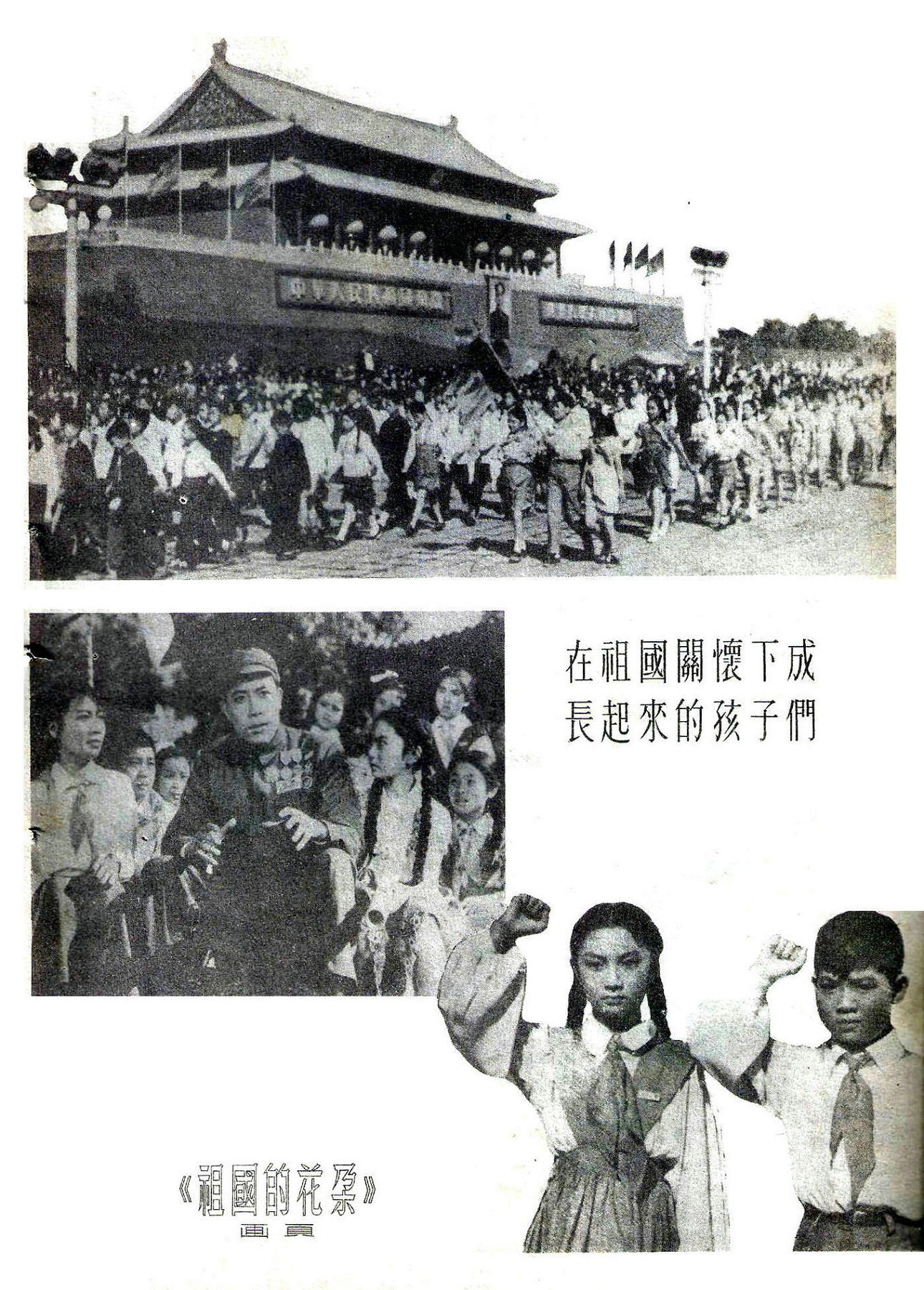 祖国的花朵剧照的剧照