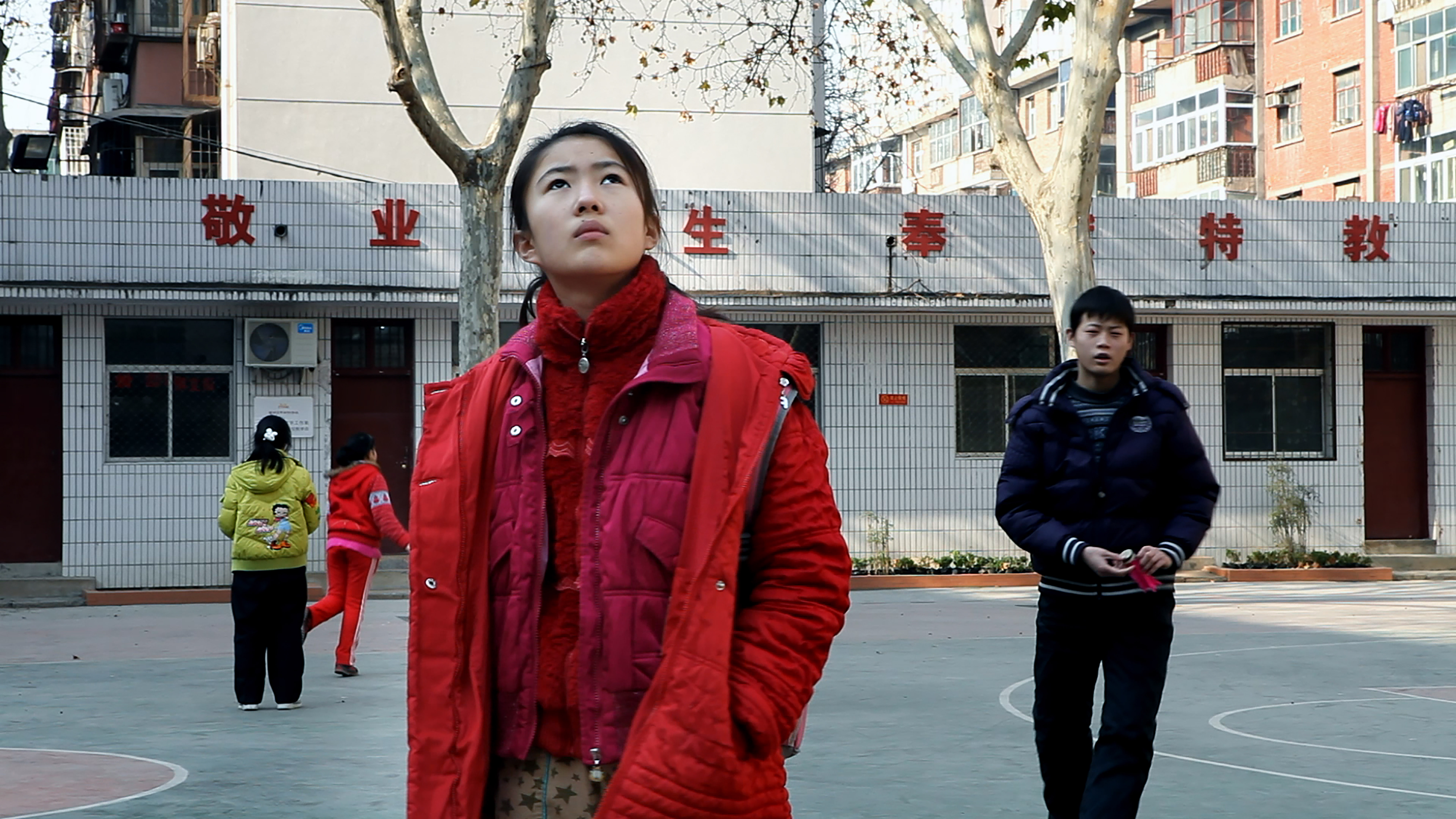 梧桐树剧照的剧照