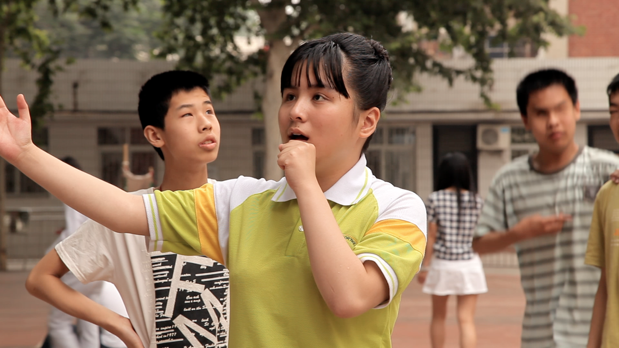 梧桐树剧照的剧照