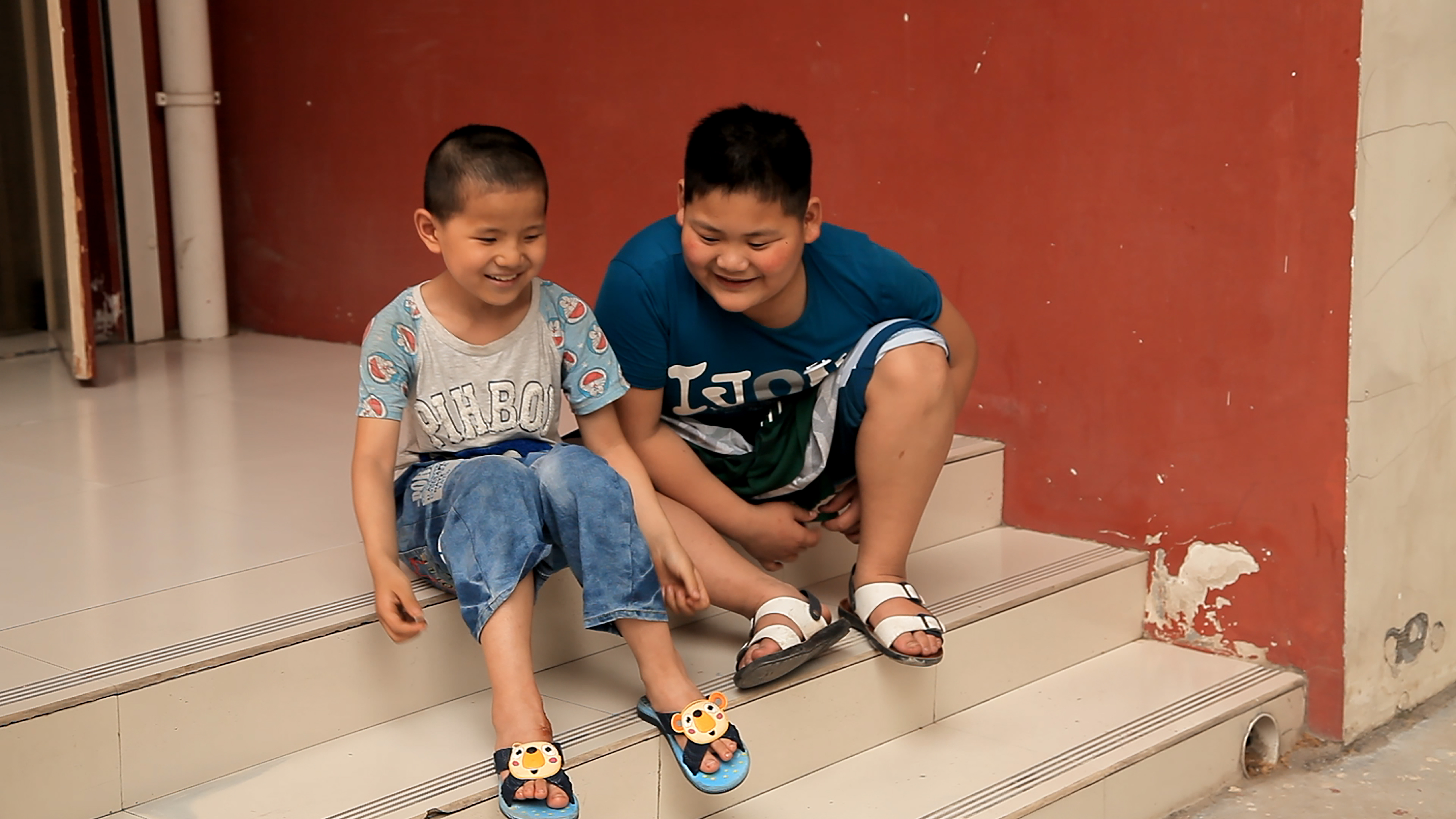 梧桐树剧照的剧照