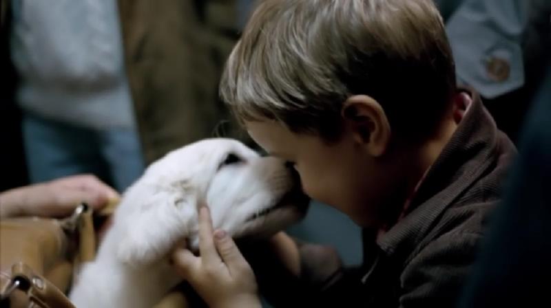 给我一个爸剧照的剧照