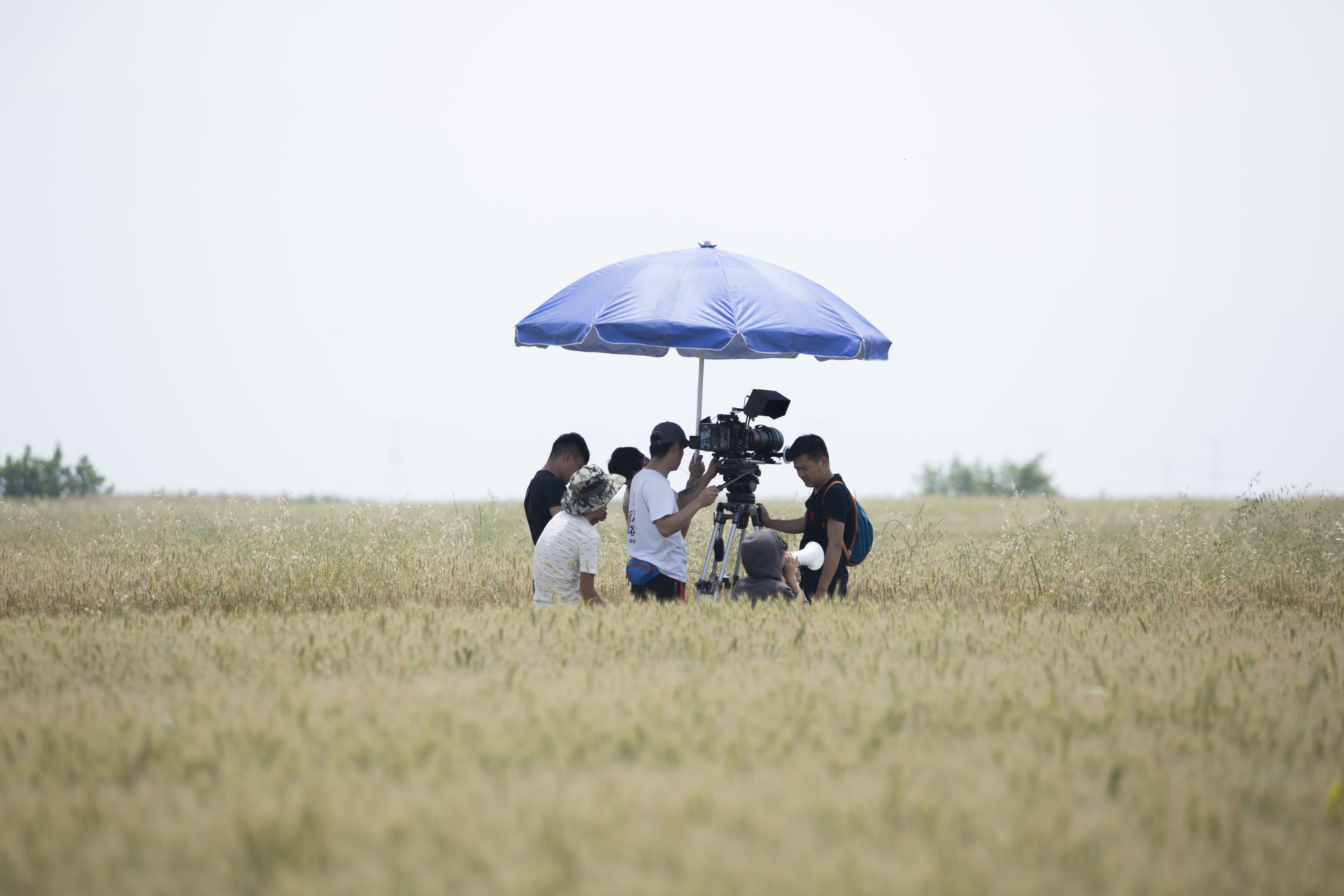 风吹吧麦浪剧照的剧照