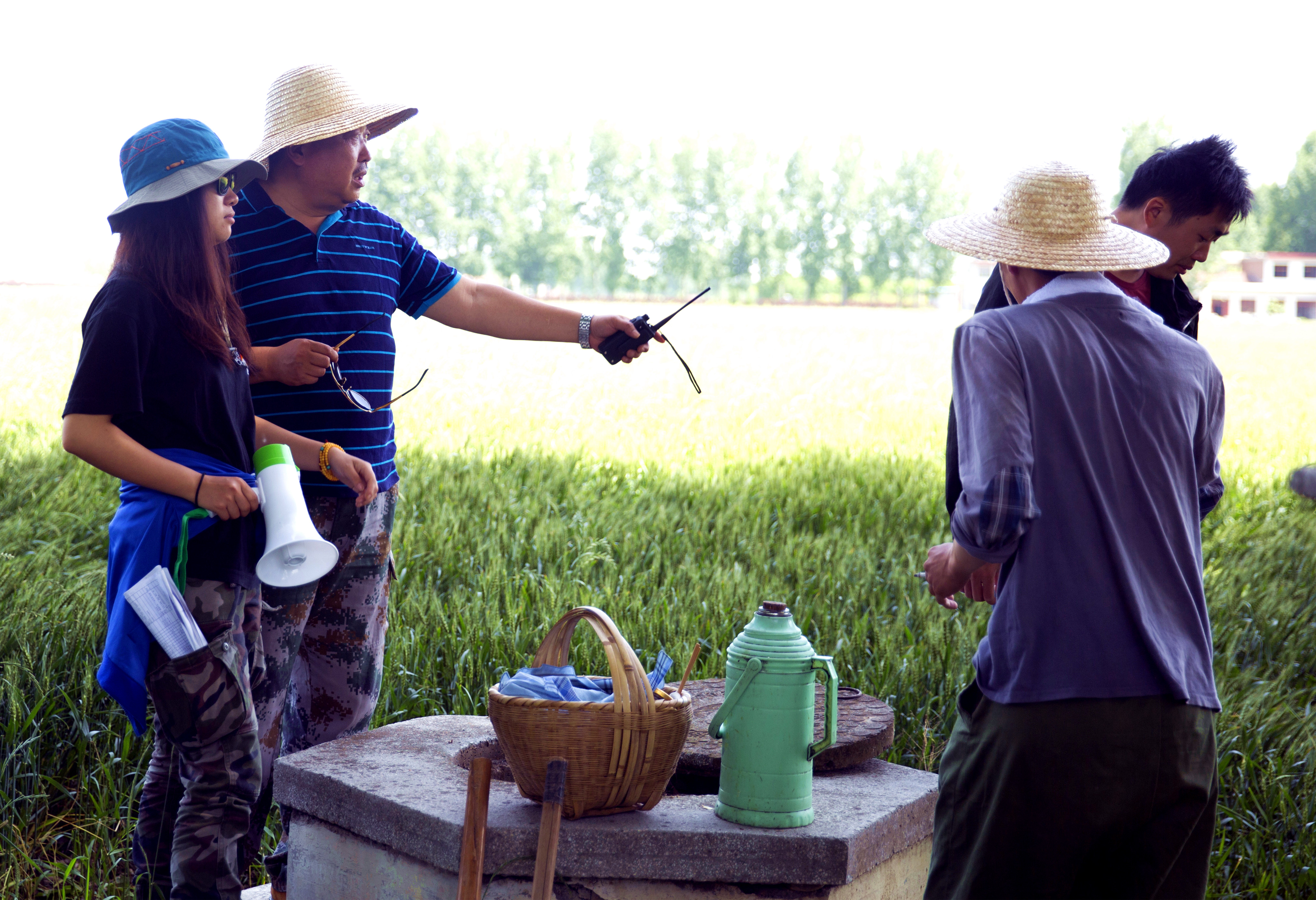 风吹吧麦浪剧照的剧照